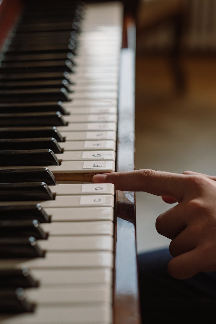 services-03 A hand pressing labeled keys on a piano, emphasizing musical education.